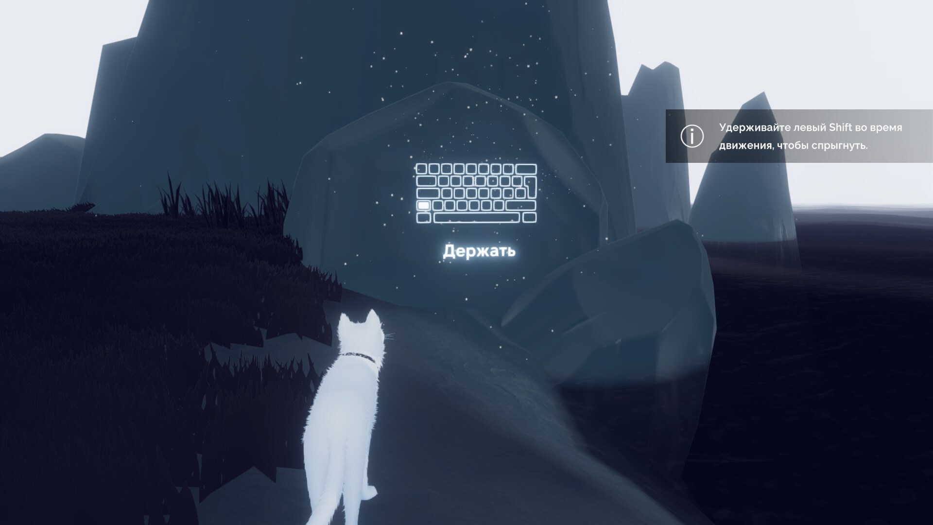 144148-9acc635f-bc61-4c55-8a0c-6b3ecf4e8