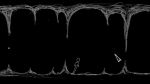575x358, 23 ��, 11.10.2026